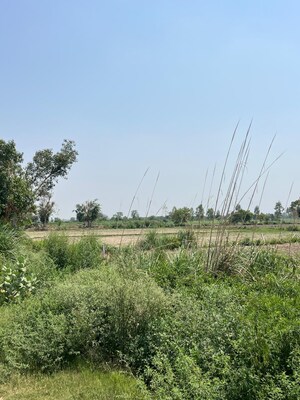 Plot Area in  Plot at Hathin – for Sale