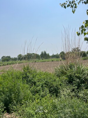 Plot Area in  Plot at Hathin – for Sale