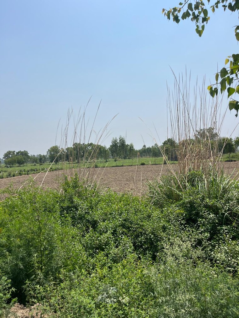 undefined, hathin  22 Acre Plot In Hathin Palwal 8783497