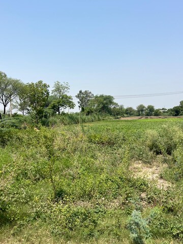 Plot Area in  Plot at Hathin – for Sale