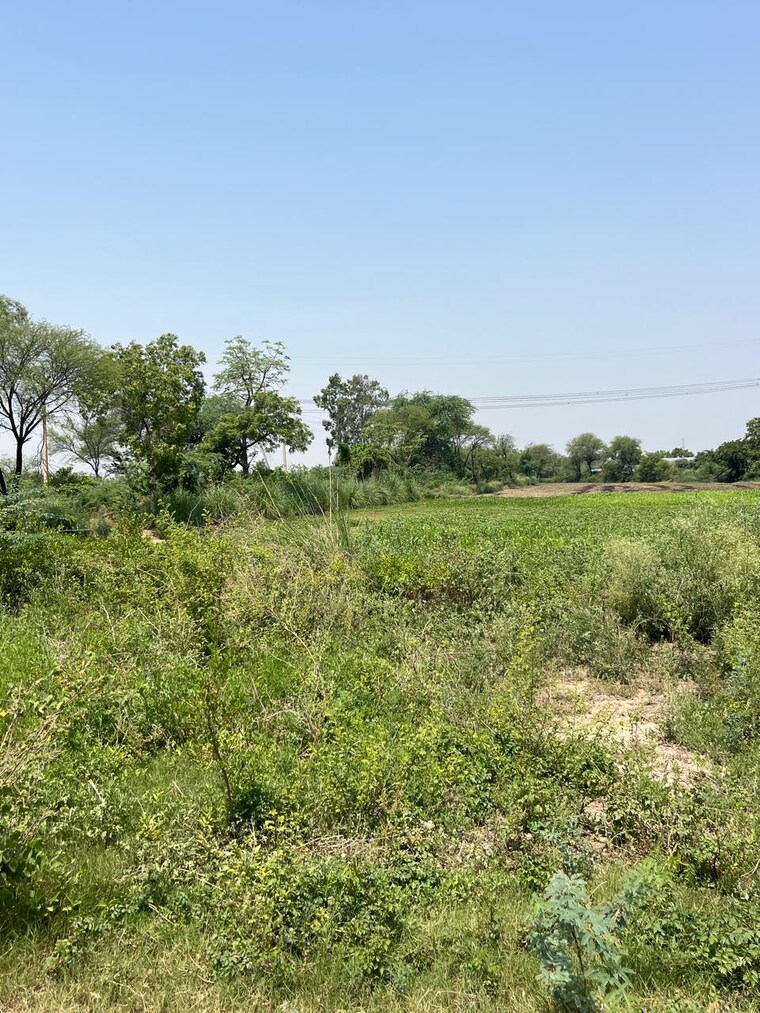 undefined, hathin  22 Acre Plot In Hathin Palwal 8783497