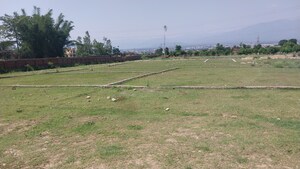  Plot For Sale in Shimla Bypass Road