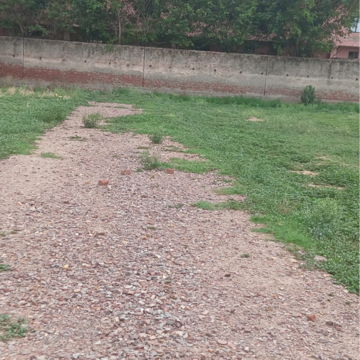 Plot Area in  Plot at Sector 56 – for Sale