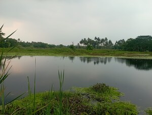 Plot Area in  Plot at Amtala – for Sale