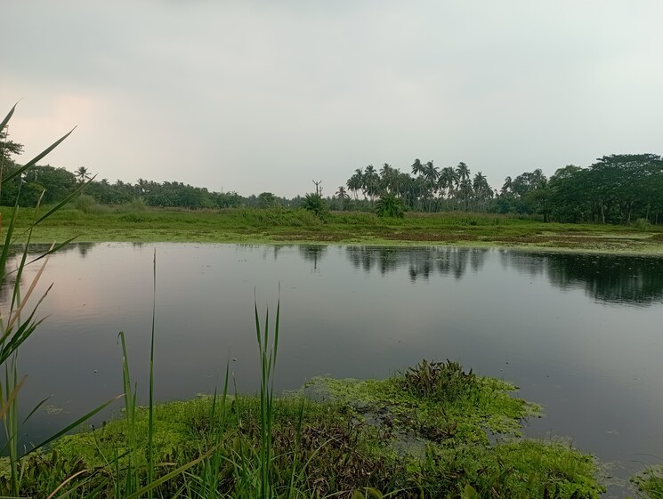 undefined, amtala  1440 Sq.Ft. Plot In Amtala Kolkata 8783790