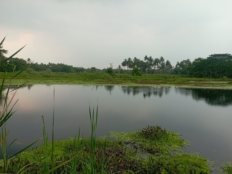 undefined, amtala  1440 Sq.Ft. Plot In Amtala Kolkata 8783790