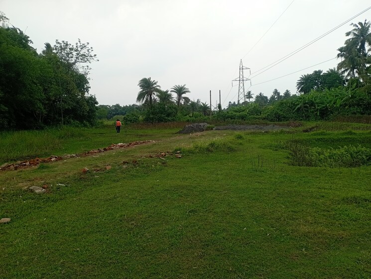 undefined, amtala  1440 Sq.Ft. Plot In Amtala Kolkata 8783790