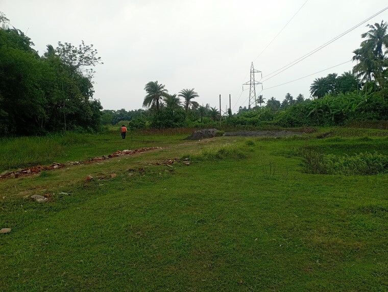 undefined, amtala  1440 Sq.Ft. Plot In Amtala Kolkata 8783790
