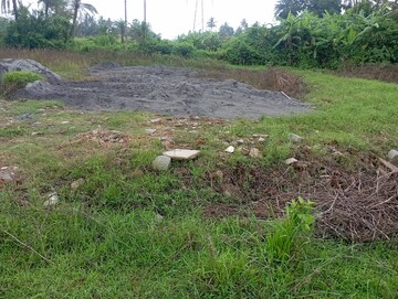  Plot For Sale in Amtala