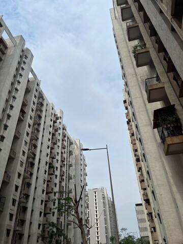 1 BHK Apartment For Rent in Lodha Palava City Lakeshore Greens, Dombivli East