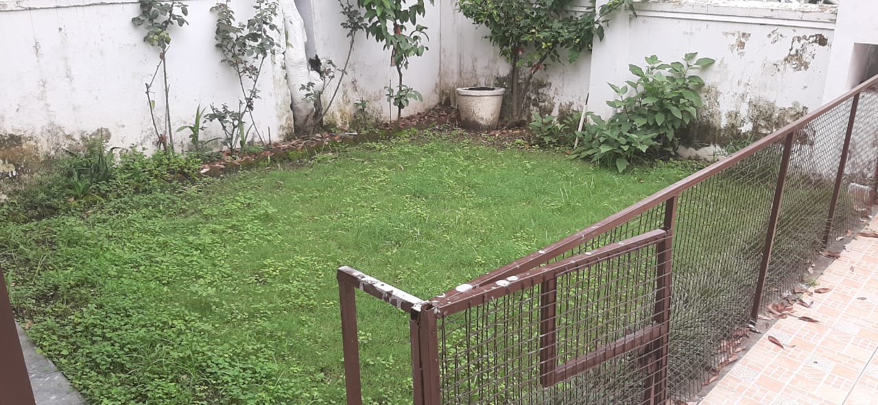 3 BHK Builder Floor For Rent in Sahastradhara Road