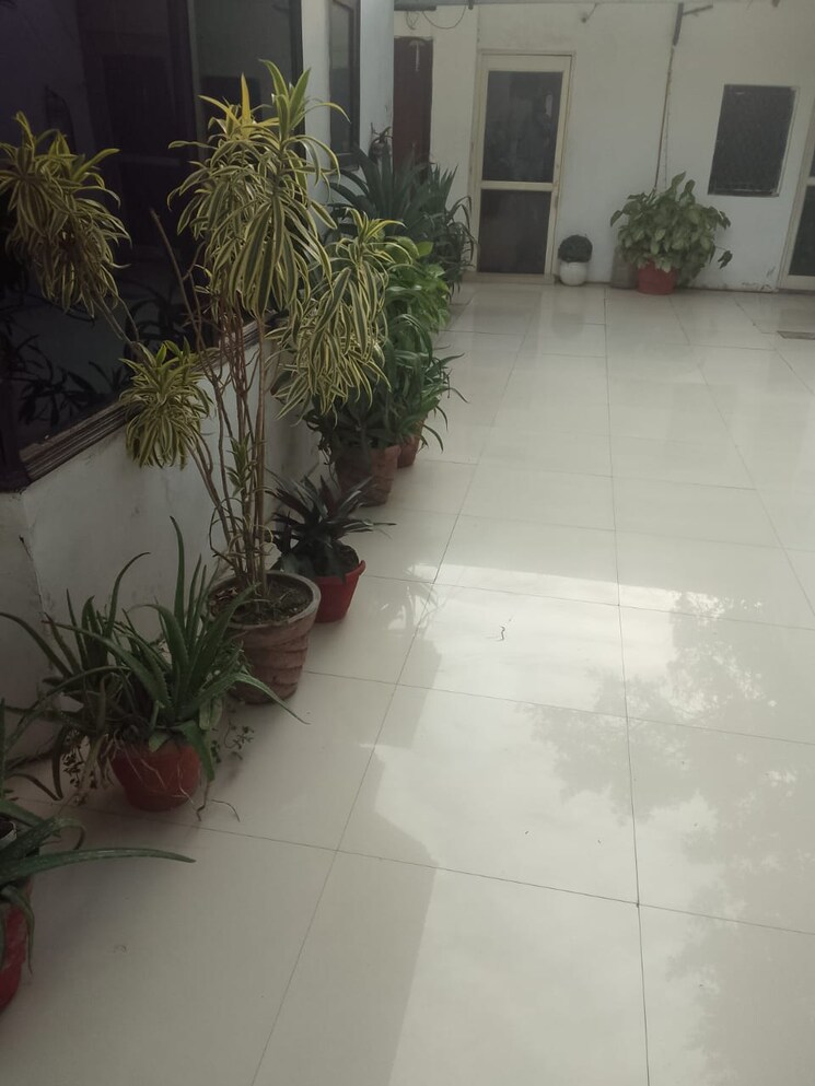 Room, sainik farm 2 Bedroom 4500 Sq.Ft. Villa In Sainik Farm Delhi 8784195