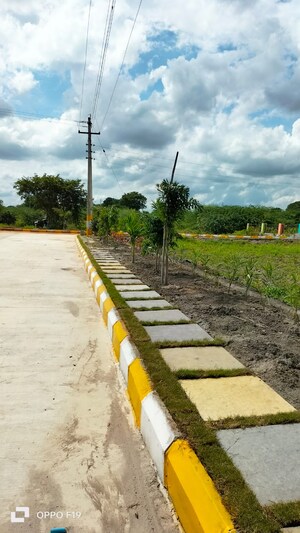  Plot – Garden View at Zahirabad Rural - for Sale