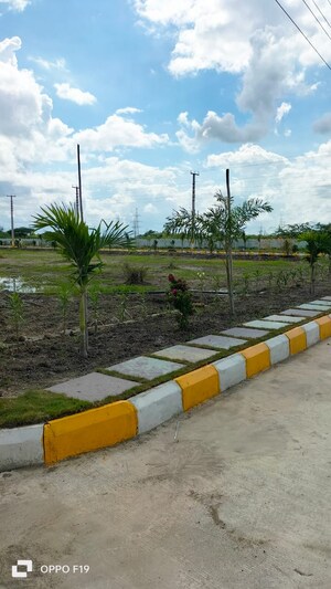  Plot – Exterior View View at Zahirabad Rural - for Sale