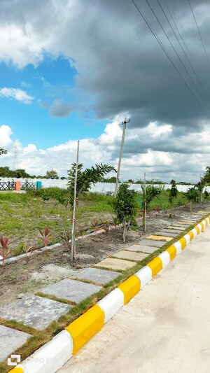  Plot For Sale in Zahirabad Rural