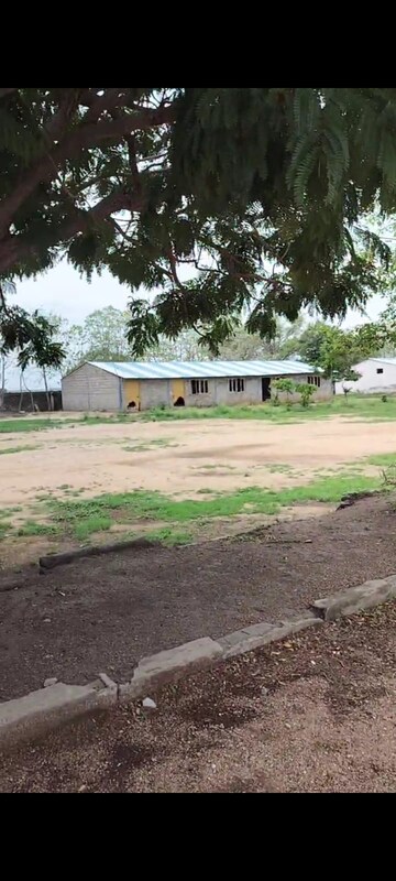 Plot Area in  Plot at Zahirabad Rural – for Sale