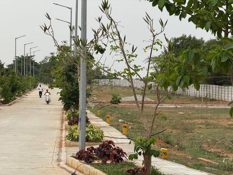 Exterior View, ace-arcadia  200 Sq.Yd. Plot In Maheshwaram Hyderabad 8626712