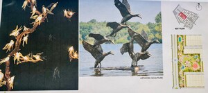  Plot – Garden View at Raebareli Road - for Sale