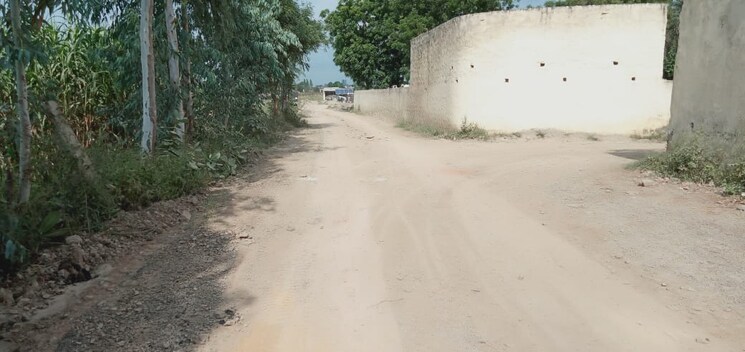 undefined, sector 144  2250 Sq.Ft. Plot In Sector 144 Noida 8784382