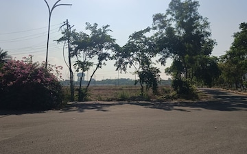 Plot For Sale in New Moradabad