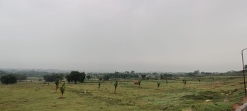 Plot Area in  Plot at Denkanikotta rd – for Sale