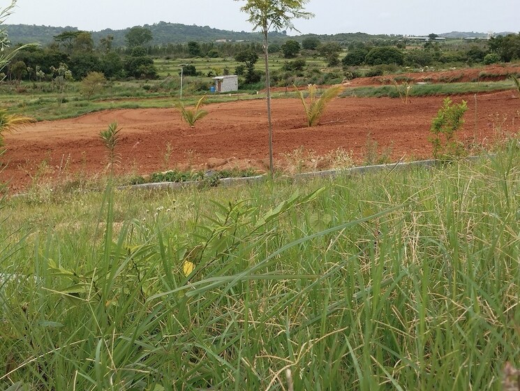 undefined, denkanikotta rd  9 Acre Plot In Denkanikotta rd Hosur 8784457