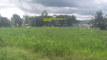 Plot Area in  Plot at Denkanikotta rd – for Sale