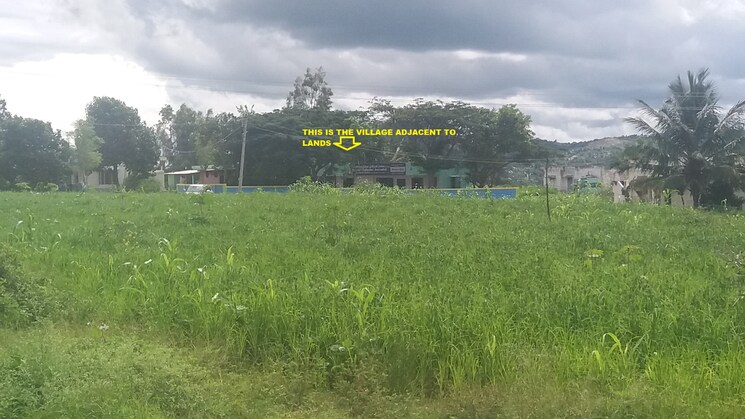 undefined, denkanikotta rd  9 Acre Plot In Denkanikotta rd Hosur 8784457