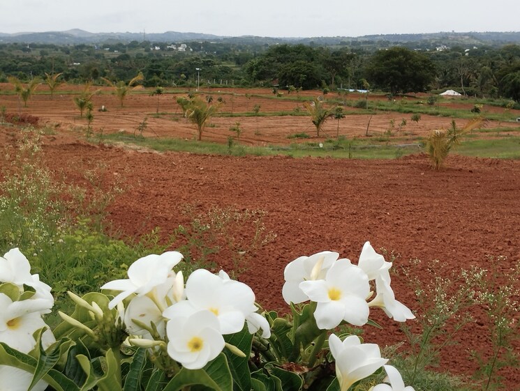 undefined, denkanikotta rd  9 Acre Plot In Denkanikotta rd Hosur 8784457