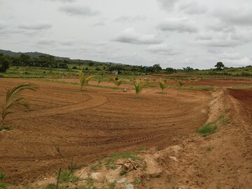 Plot Area in  Plot at Denkanikotta rd – for Sale