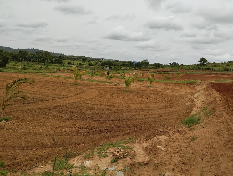 undefined, denkanikotta rd  9 Acre Plot In Denkanikotta rd Hosur 8784457