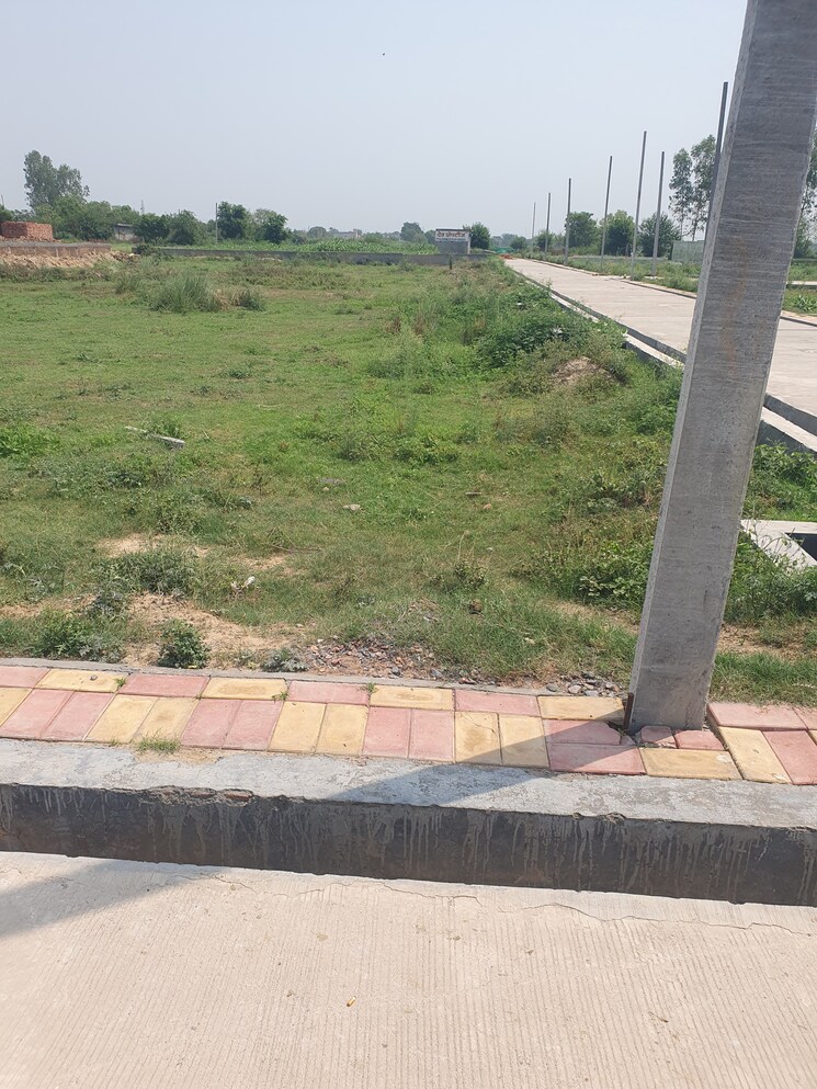 Exterior View, wave city  349 Sq.Yd. Plot In Wave City Ghaziabad 8784641