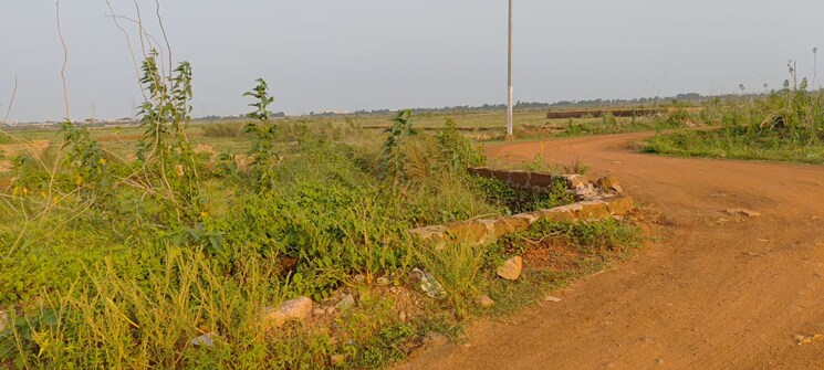 undefined, sijua  1302 Sq.Ft. Plot In Sijua Bhubaneswar 8784636