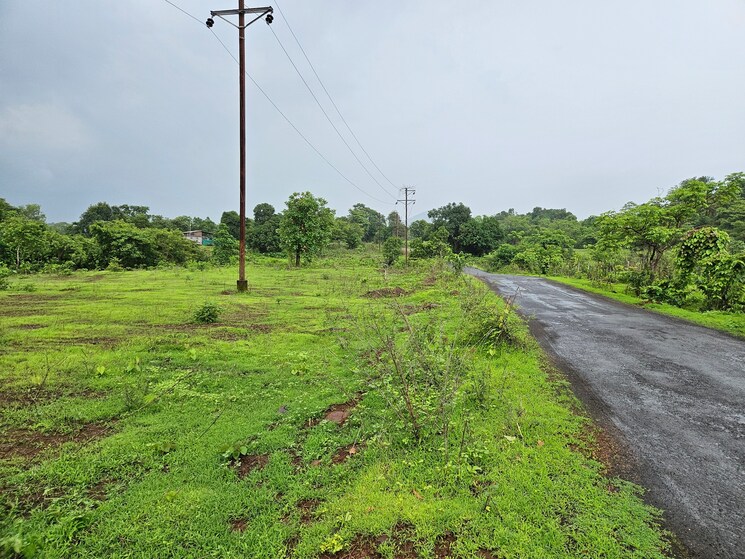 Garden, mangaon Commercial Land 20 Acre In Mangaon Raigad 8784656