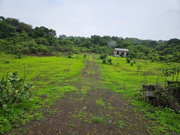 Plot Area in  Land at Mangaon – for Sale