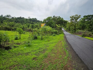 Plot Area in  Land at Mangaon – for Sale