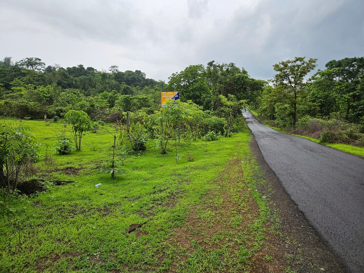 undefined, mangaon Commercial Land 20 Acre In Mangaon Raigad 8784656