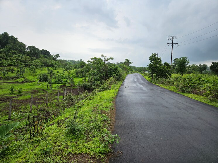 Garden, mangaon Commercial Land 20 Acre In Mangaon Raigad 8784656