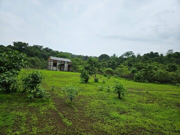 Plot Area in  Land at Mangaon – for Sale