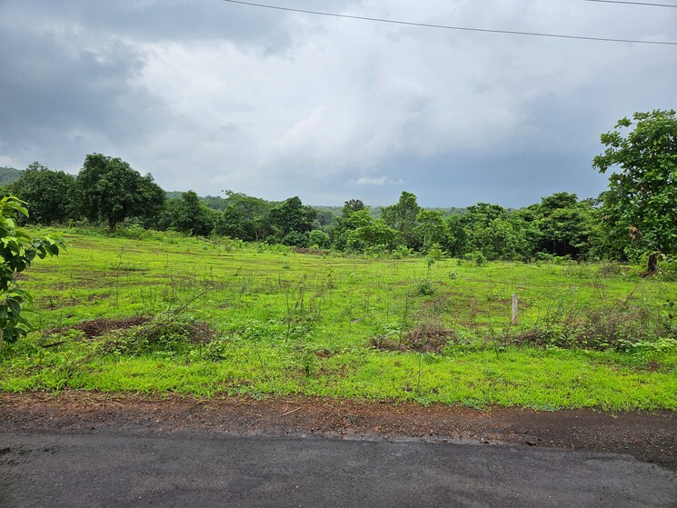 Garden, mangaon Commercial Land 20 Acre In Mangaon Raigad 8784656