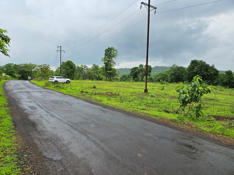 Garden, mangaon Commercial Land 20 Acre In Mangaon Raigad 8784656