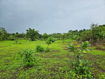  Land – Garden View at Mangaon - for Sale