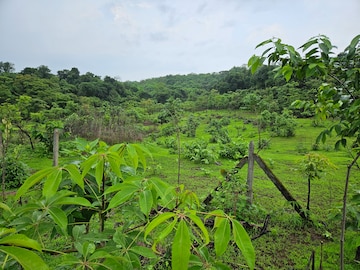 Land – Garden View at Mangaon - for Sale