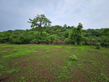 Plot Area in  Land at Mangaon – for Sale