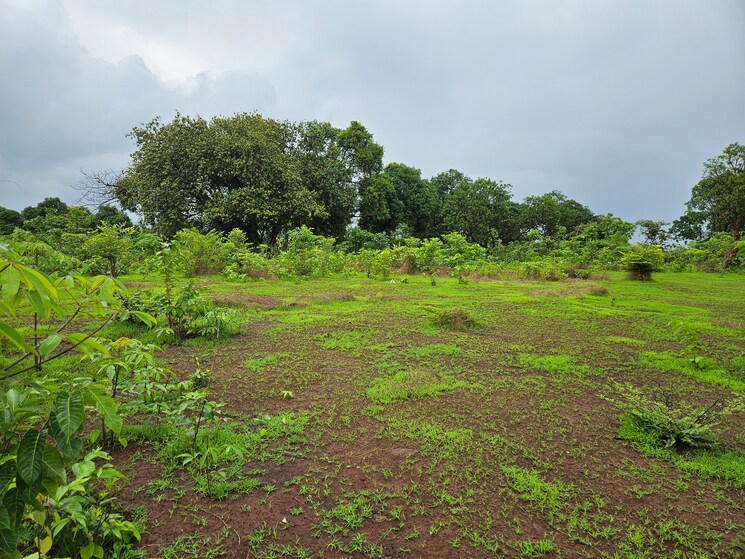 Garden, mangaon Commercial Land 20 Acre In Mangaon Raigad 8784656