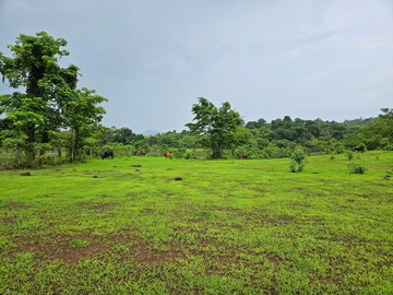 Plot Area in  Land at Mangaon – for Sale