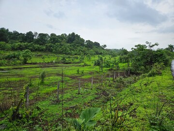 Plot Area in  Land at Mangaon – for Sale