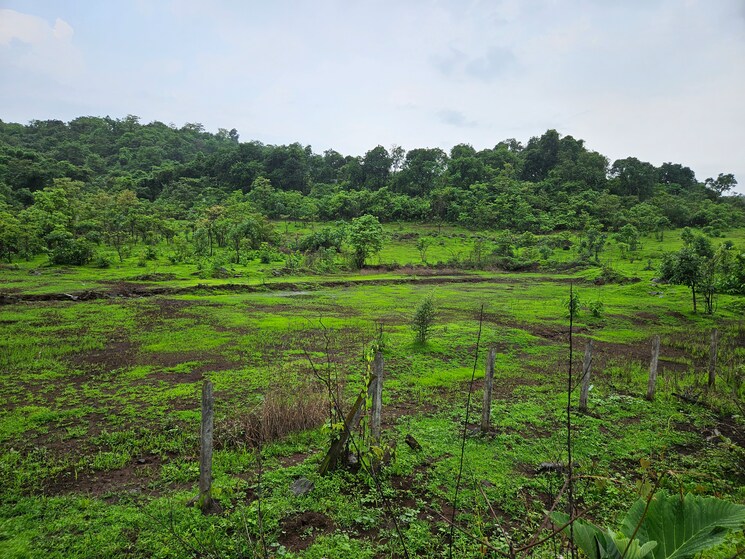 undefined, mangaon Commercial Land 20 Acre In Mangaon Raigad 8784656