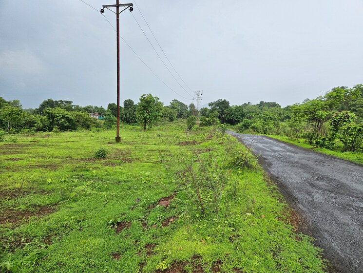 Garden, mangaon Commercial Land 20 Acre In Mangaon Raigad 8784656