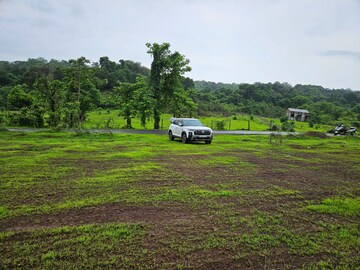 Plot Area in  Land at Mangaon – for Sale